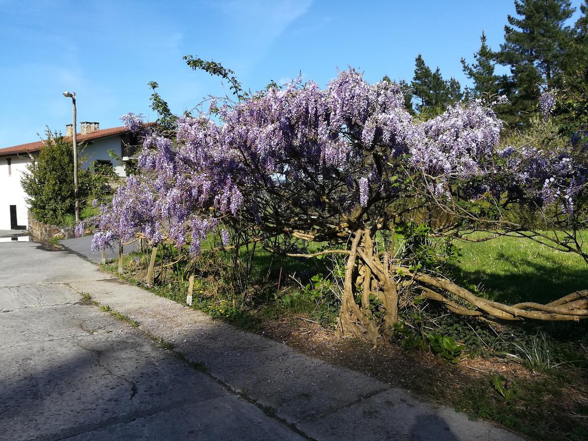 Casa Rural Miamendi Larrabetzu 외부 사진